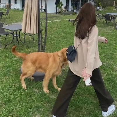 游艇春色